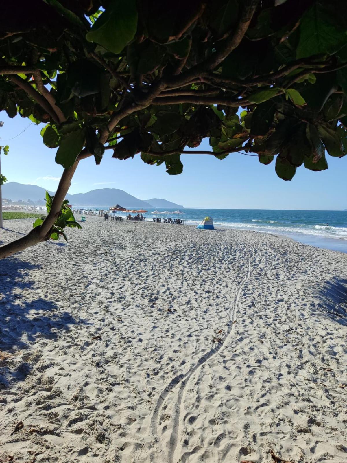 Apartamento De 2 Dormitorios Florianópolis Esterno foto